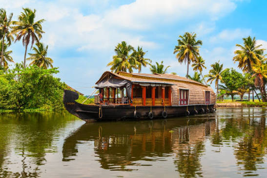 Kerala Hills & Backwaters Tour Package